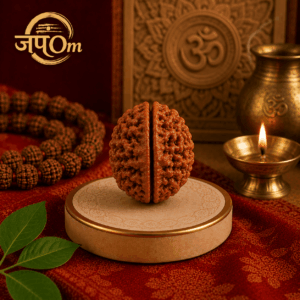 2 Mukhi Nepali Rudraksha - Do Mukhi